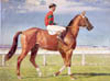 racehorse