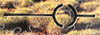logo as drop out