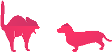 Cat meets dog